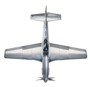 P-51 Mustang Model